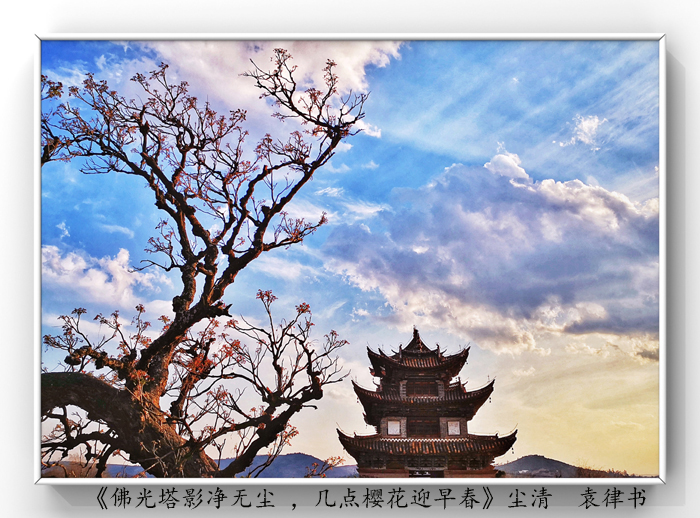 025《佛光塔影凈無(wú)塵 ，幾點(diǎn)櫻花迎早春》.jpg